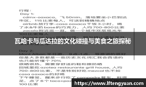 瓦哈卡与瓜达拉的文化碰撞与美食之旅探秘